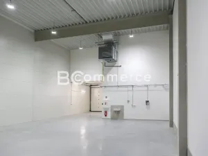 Pronájem skladu, Moravany, Průmyslová, 325 m2