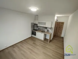 Pronájem bytu 1+kk, Chodov, Čapkova, 20 m2