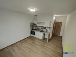 Pronájem bytu 1+kk, Chodov, Čapkova, 20 m2