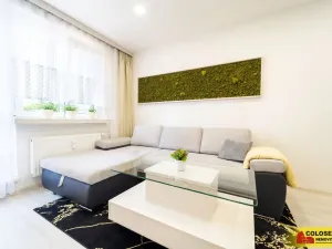 Prodej bytu 3+kk, Veselí nad Moravou, 54 m2