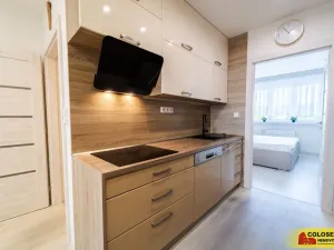 Prodej bytu 3+kk, Veselí nad Moravou, 54 m2