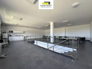 Pronájem výrobních prostor, Týn nad Vltavou - Malá Strana, Průmyslová, 4546 m2