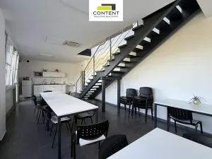 Pronájem výrobních prostor, Týn nad Vltavou - Malá Strana, Průmyslová, 4546 m2