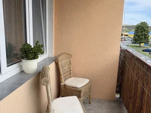 Prodej bytu 2+1, Sušice - Sušice II, Scheinostova, 61 m2
