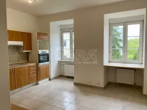 Pronájem atypického bytu, Praha - Řepy, Podkrkonošských tkalců, 38 m2