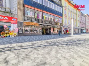 Pronájem bytu 2+1, Cheb, Svobody, 72 m2