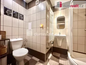 Pronájem bytu 1+1, Ústí nad Labem - Ústí nad Labem-centrum, Stará, 30 m2