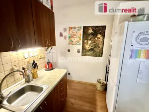 Pronájem bytu 1+1, Ústí nad Labem - Ústí nad Labem-centrum, Stará, 30 m2