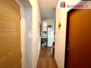 Pronájem bytu 1+1, Ústí nad Labem - Ústí nad Labem-centrum, Stará, 30 m2