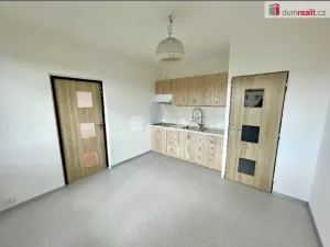 Pronájem bytu 1+1, Ústí nad Labem, Višňová, 38 m2