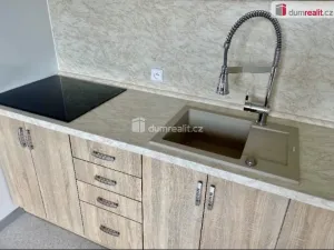 Pronájem bytu 1+1, Ústí nad Labem, Višňová, 38 m2