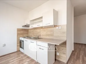 Prodej bytu 2+1, Bílina, M. Švabinského, 54 m2