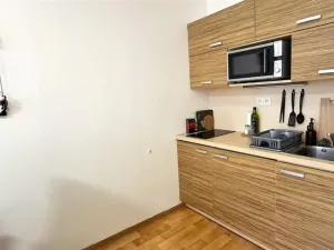 Pronájem bytu 1+kk, Olomouc, Kavaleristů, 28 m2
