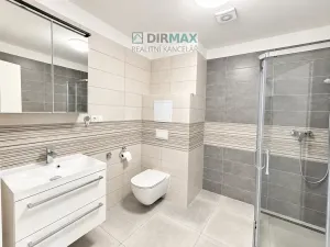 Pronájem bytu 2+kk, Plzeň, Otýlie Beníškové, 52 m2