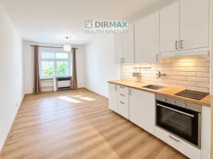 Pronájem bytu 1+kk, Plzeň, Masarykova, 24 m2