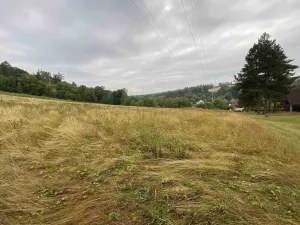 Prodej louky, Brumovice - Úblo, 1160 m2