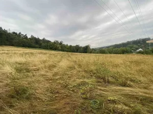 Prodej louky, Brumovice - Úblo, 1160 m2