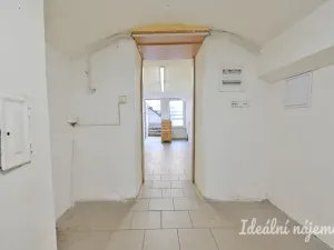 Pronájem obchodního prostoru, Brno - Žabovřesky, Minská, 19 m2