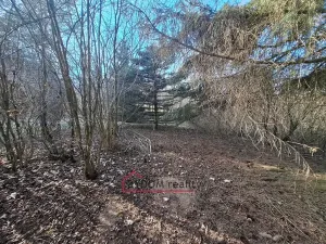 Prodej pozemku pro bydlení, Nové Mitrovice, 1216 m2