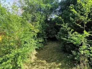 Prodej zahrady, Zdíkov, 389 m2