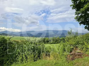 Prodej zahrady, Jeseník, Za Pilou, 533 m2