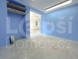 Prodej rodinného domu, Jeseník, 315 m2