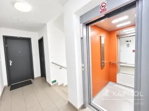 Pronájem bytu 1+kk, Hořovice, Ječná, 25 m2