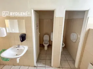 Pronájem restaurace, Teplice, Masarykova třída, 100 m2
