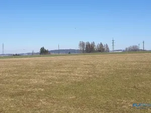 Prodej louky, Police nad Metují, 8790 m2