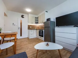 Pronájem bytu 1+kk, Měchenice, Vltavská, 19 m2