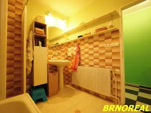 Prodej rodinného domu, Boskovice, Dukelská, 302 m2