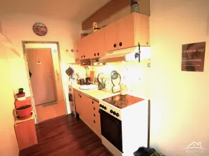 Prodej bytu 1+1, Jihlava, Slavíčkova, 30 m2