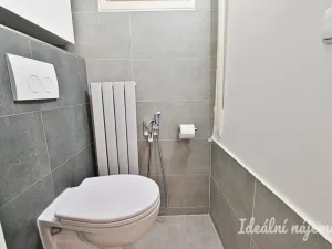 Pronájem bytu 3+1, Brno, Kotlářská, 76 m2