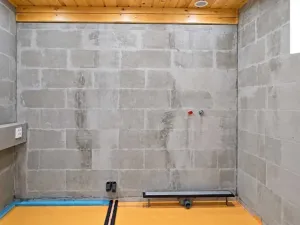 Prodej rodinného domu, Staré Město, Zemědělská, 120 m2