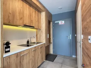 Prodej bytu 1+kk, Dolní Morava, 28 m2