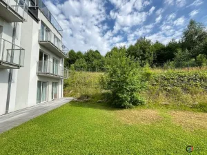 Prodej bytu 1+kk, Dolní Morava, 28 m2