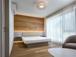 Pronájem rodinného domu, Praha - Troja, Pod Salabkou, 433 m2