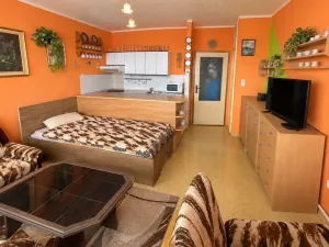 Prodej bytu 1+kk, Opava - Kateřinky, Na Pastvisku, 26 m2