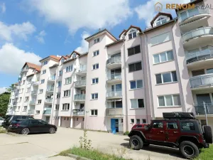 Prodej bytu 1+kk, Olomouc, Rooseveltova, 46 m2