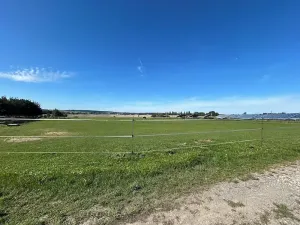 Prodej komerčního pozemku, Zhoř u Tábora, 11995 m2