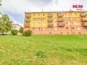 Prodej bytu 2+1, Tachov, Školní, 56 m2