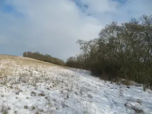 Dražba rodinného domu, Svitávka, 320 m2