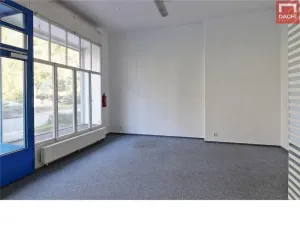 Pronájem obchodního prostoru, Olomouc, Dobrovského, 37 m2
