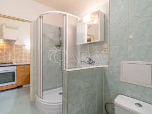 Pronájem bytu 1+kk, Dřevohryzy, 27 m2