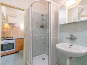 Pronájem bytu 1+kk, Dřevohryzy, 27 m2