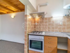 Pronájem bytu 1+kk, Dřevohryzy, 27 m2