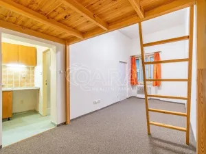 Pronájem bytu 1+kk, Dřevohryzy, 27 m2