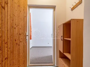Pronájem bytu 1+kk, Dřevohryzy, 27 m2