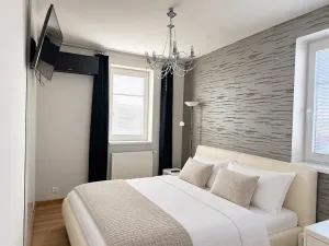 Pronájem bytu 2+kk, Plzeň, Revoluční, 54 m2