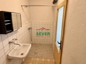 Prodej rodinného domu, Křesín - Levousy, 241 m2